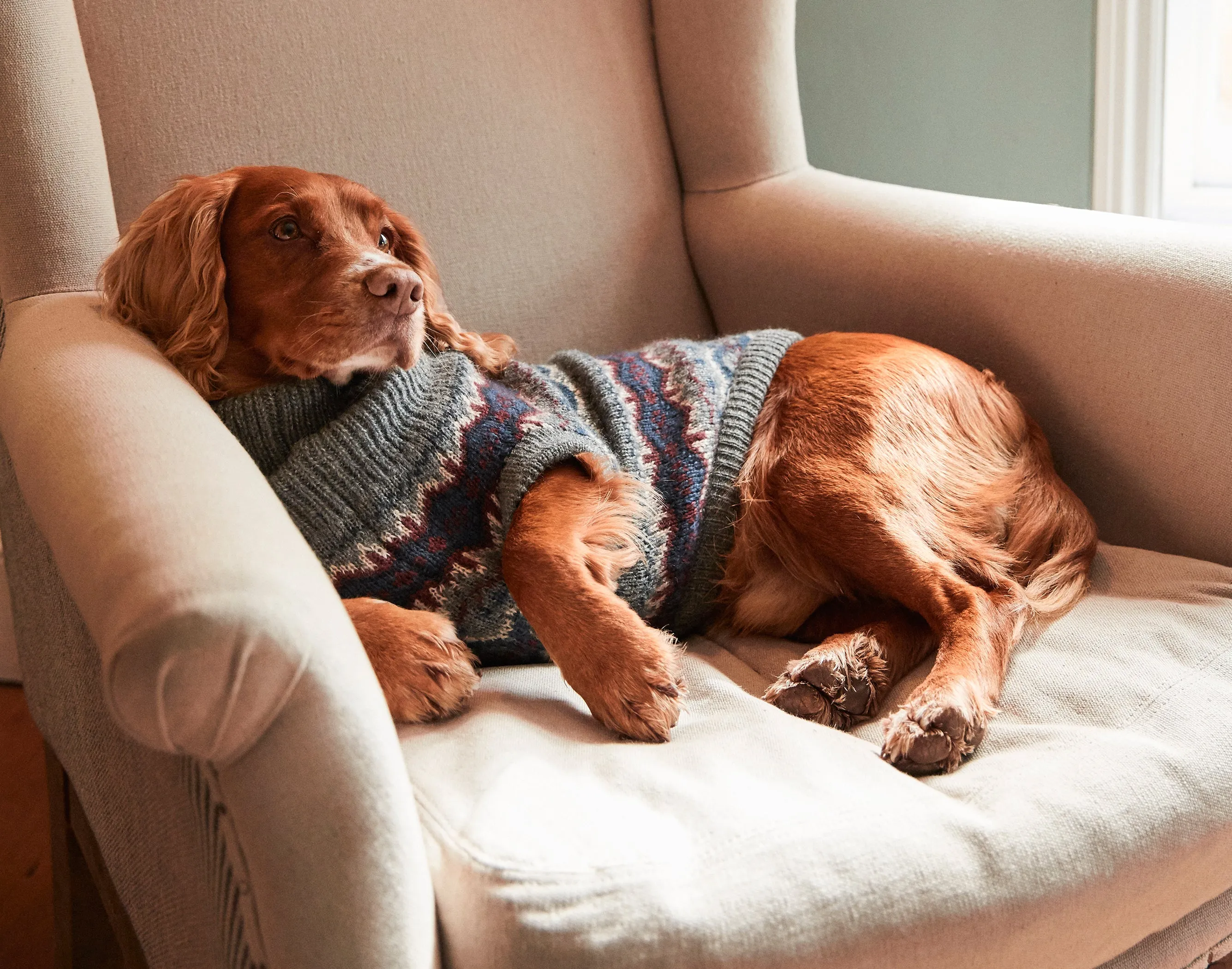 Barbour Case Fair Isle Dog Sweater
