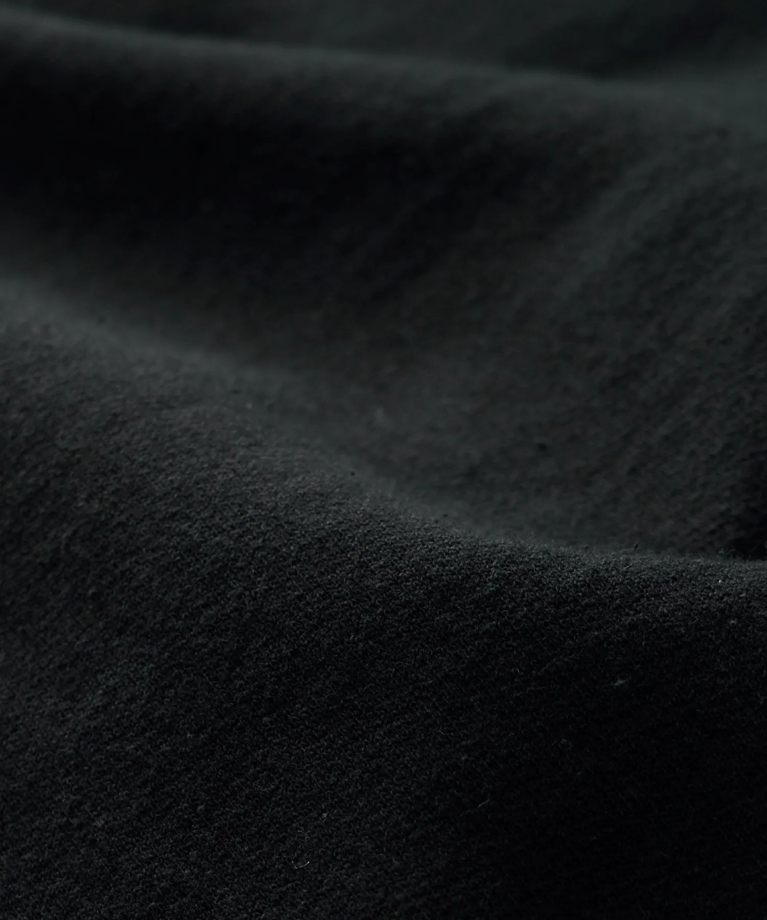 Champion Canadian Fleece Relaxed Hoodie in Black