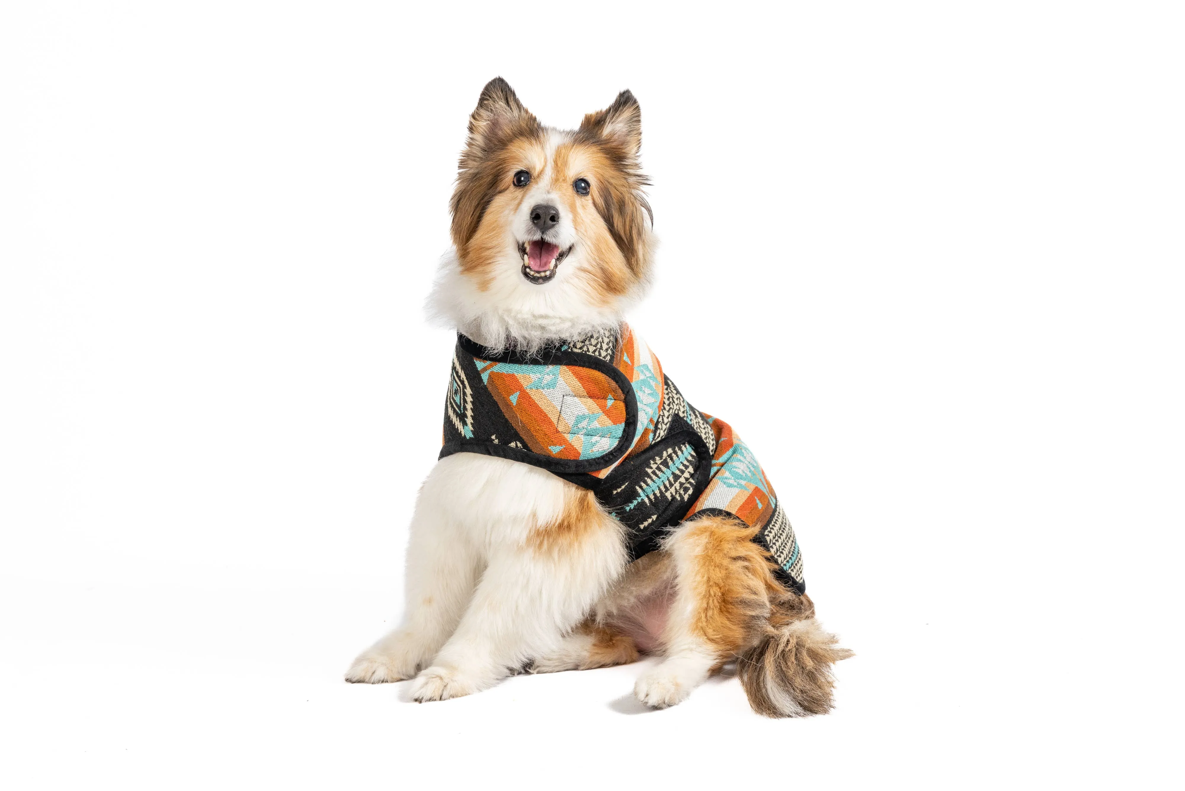 Chilly Dog Dog Blanket Coat - Black Canyon