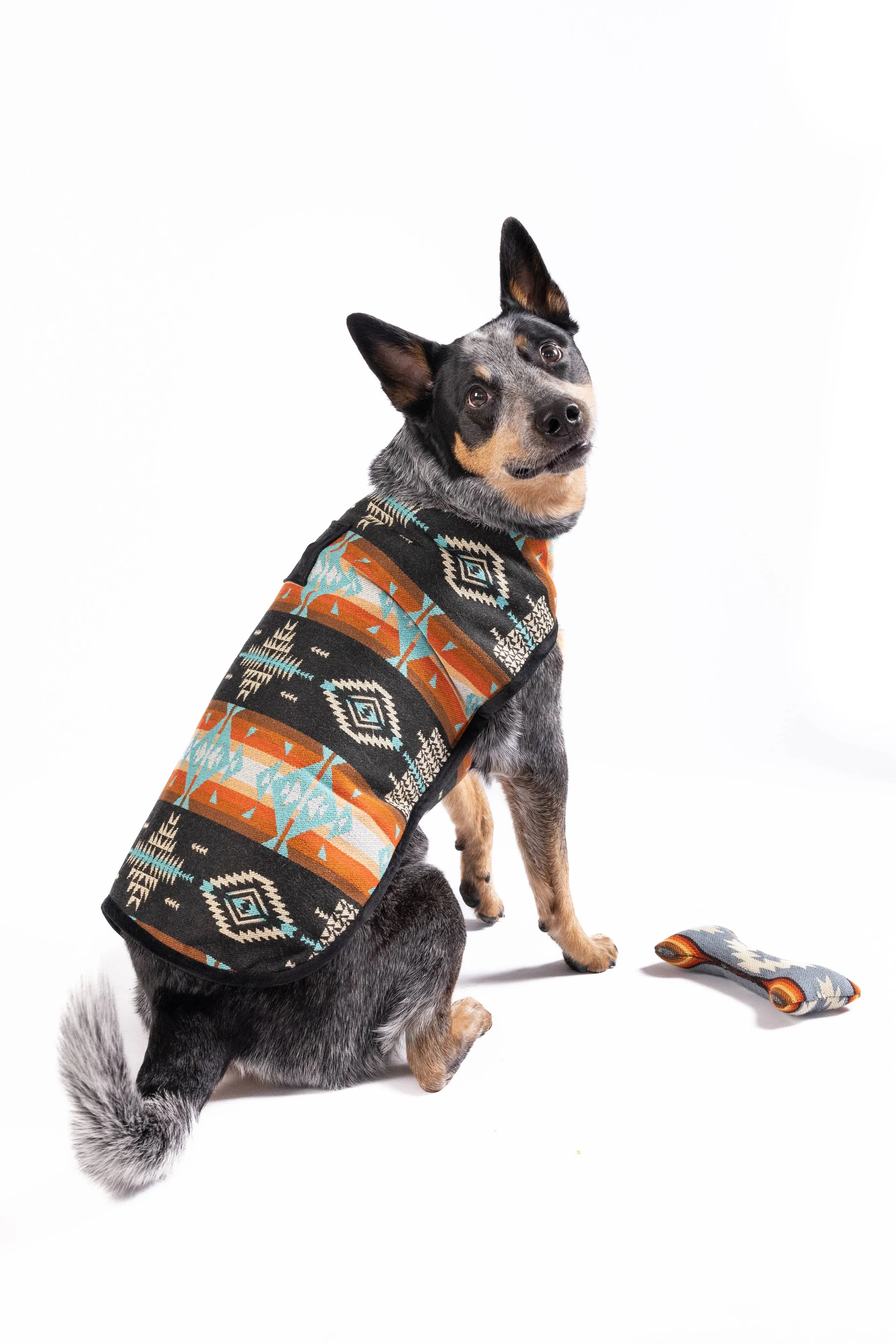 Chilly Dog Dog Blanket Coat - Black Canyon