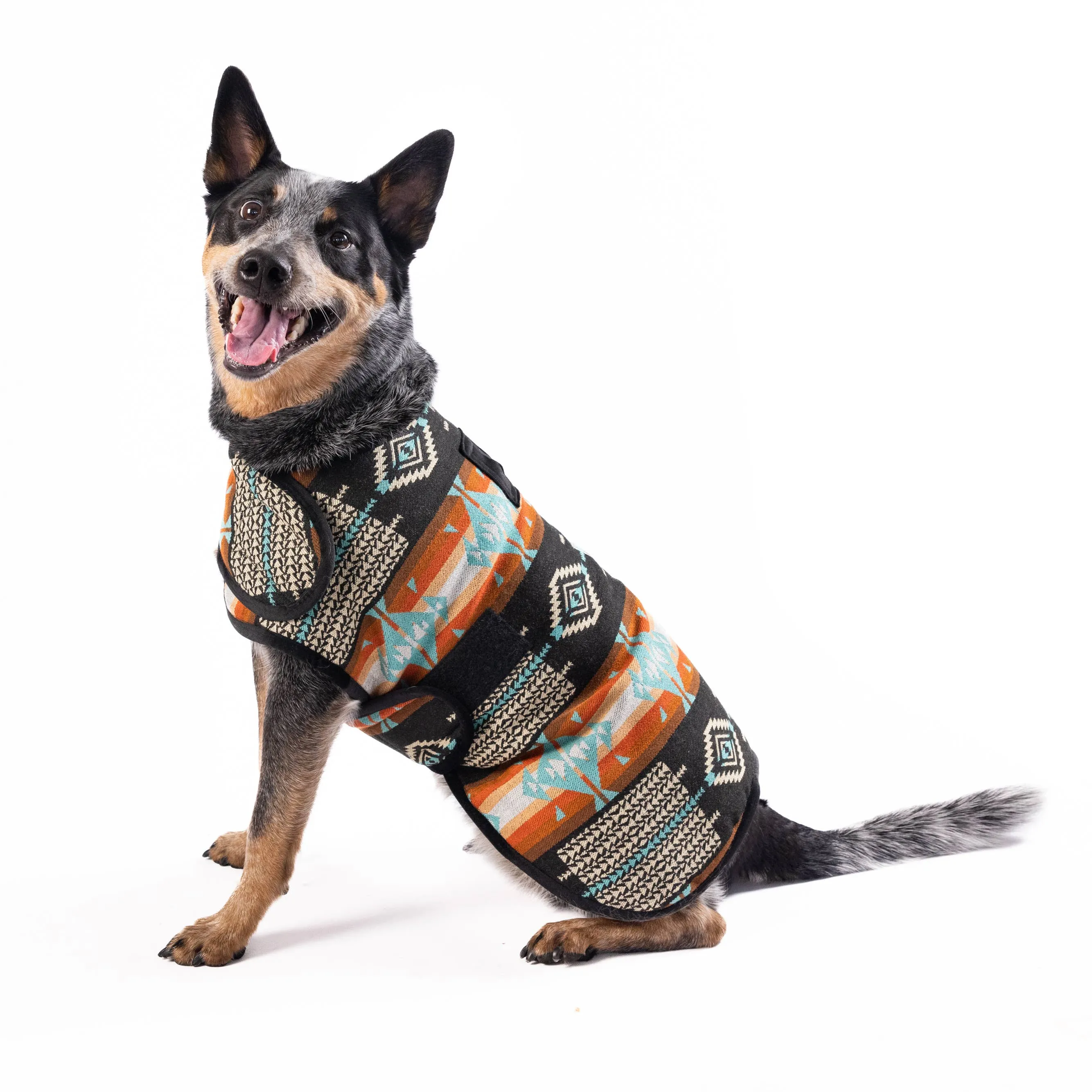 Chilly Dog Dog Blanket Coat - Black Canyon