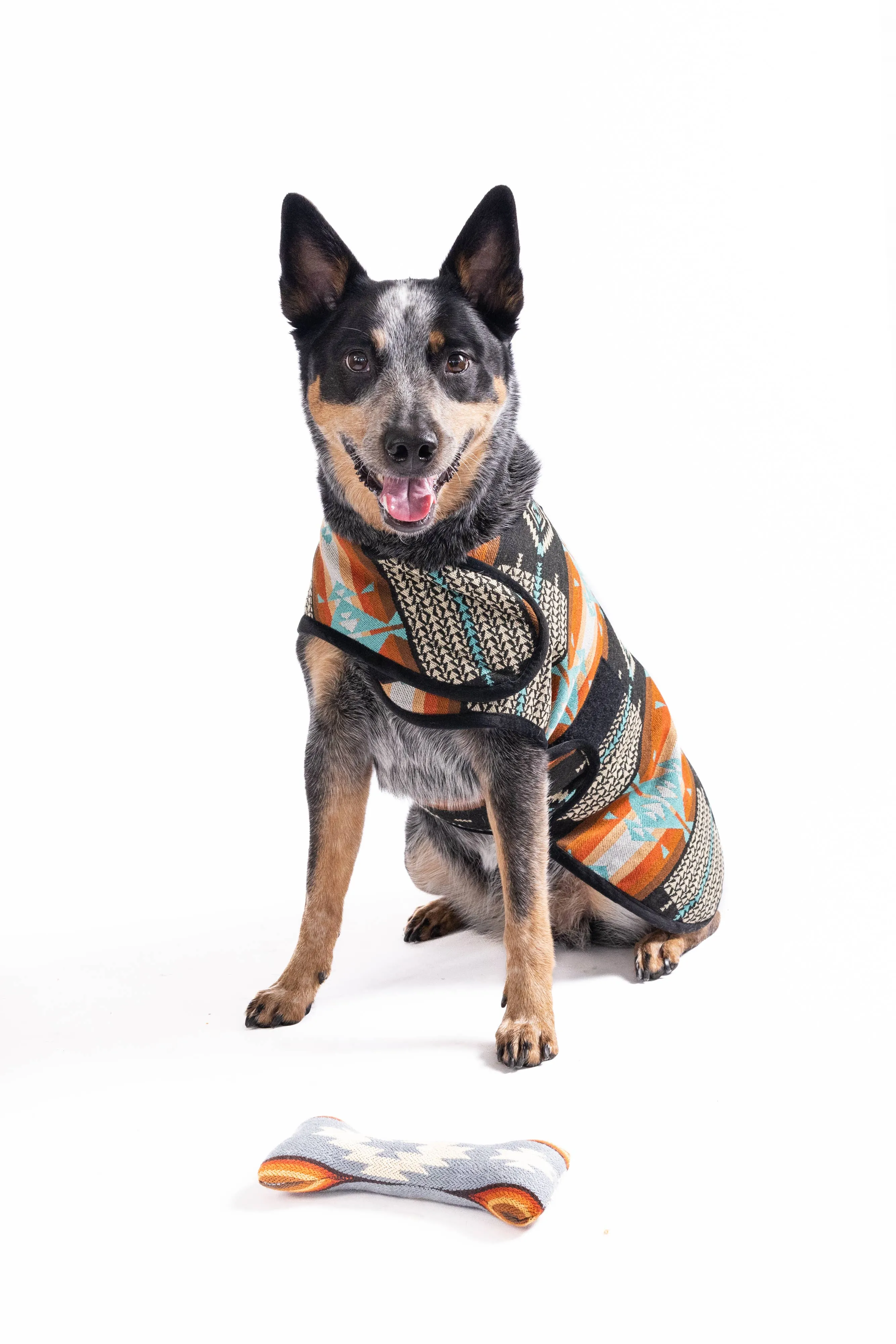 Chilly Dog Dog Blanket Coat - Black Canyon
