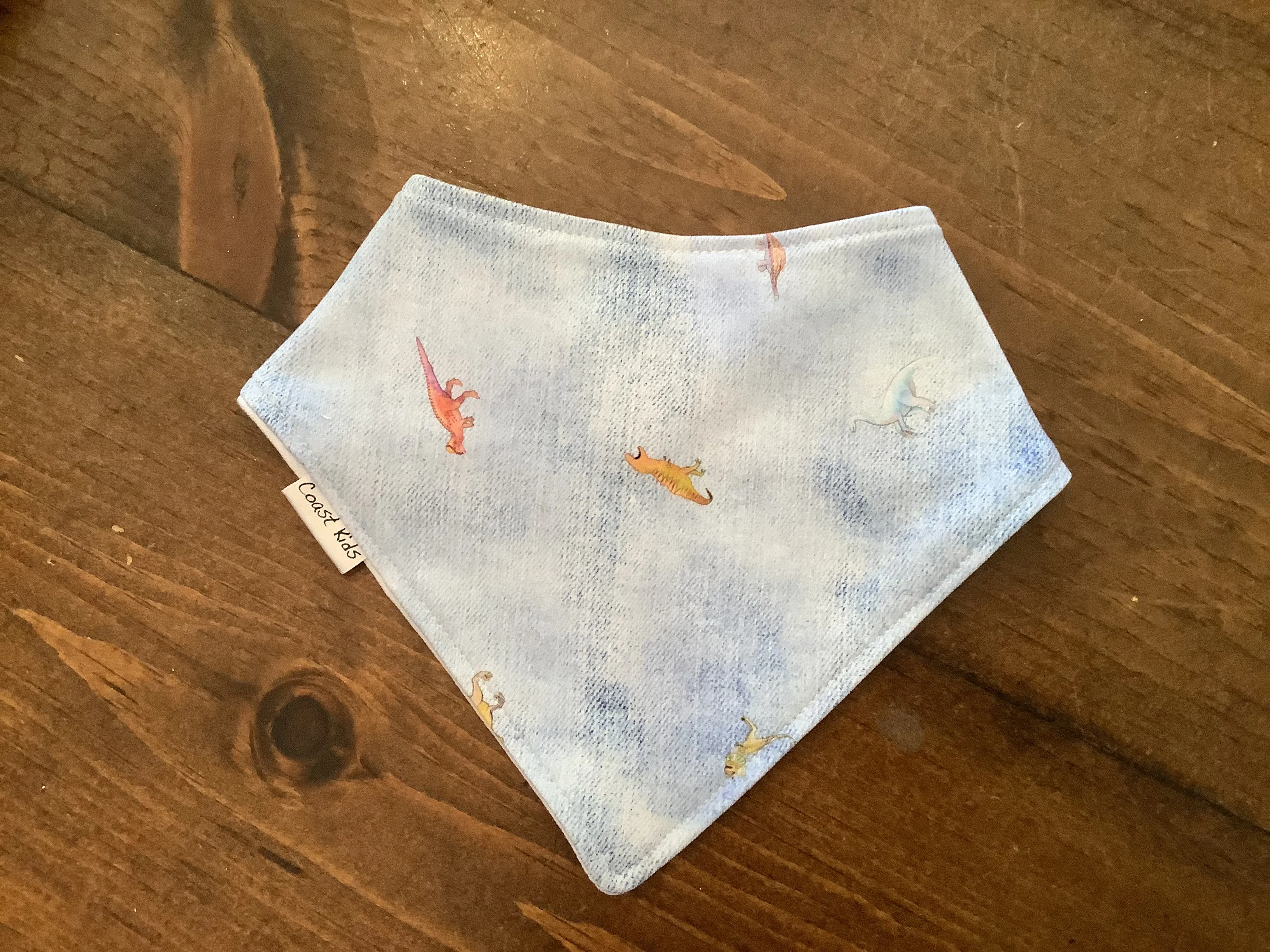 Coast Kids Bibs :  17 STYLE Choices :  One Size