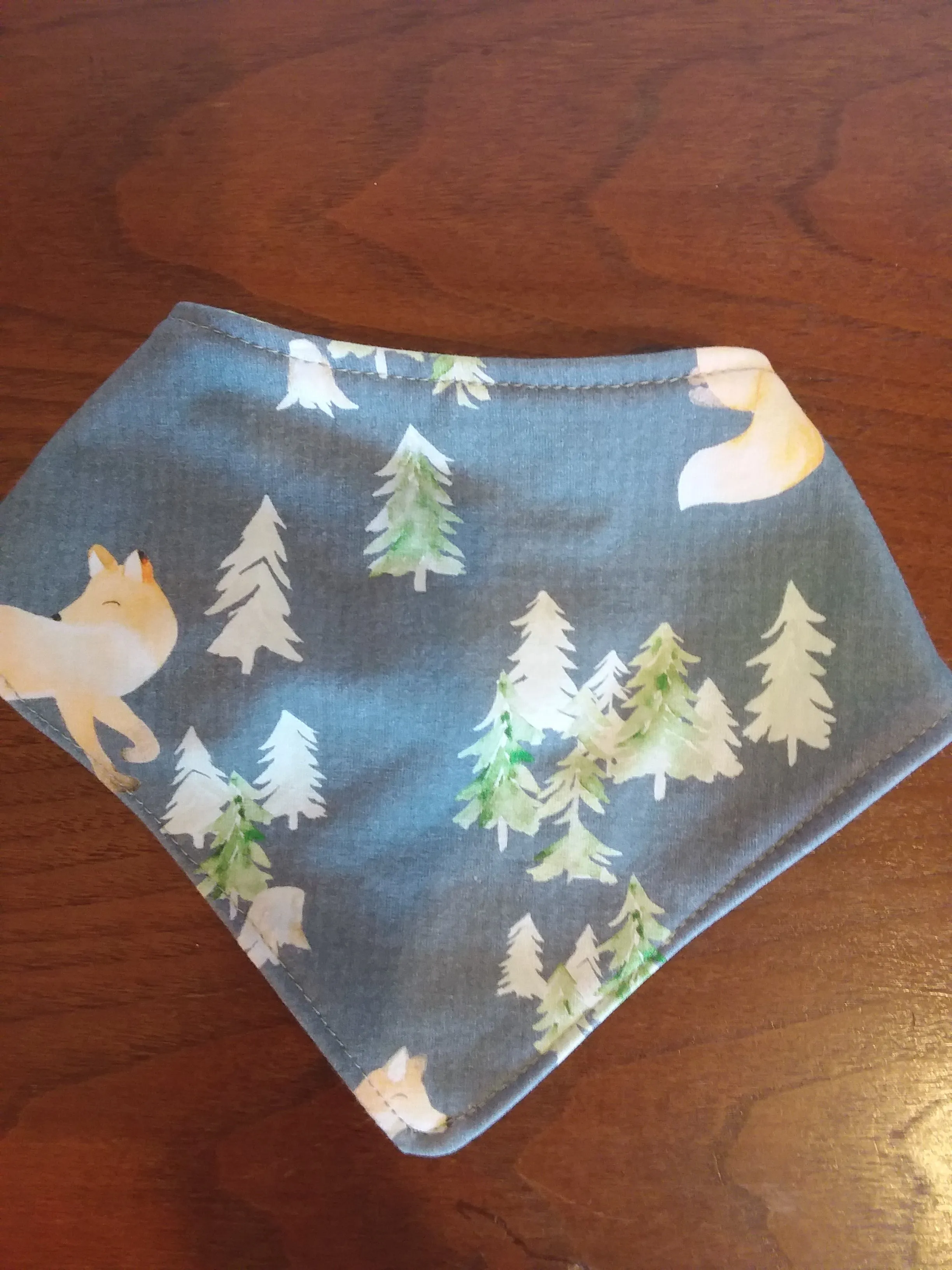 Coast Kids Bibs :  17 STYLE Choices :  One Size
