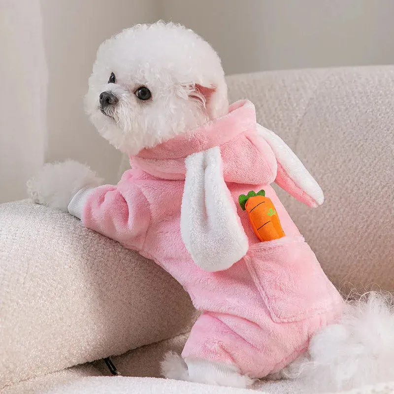Cozy Dog Blanket and Coat Set