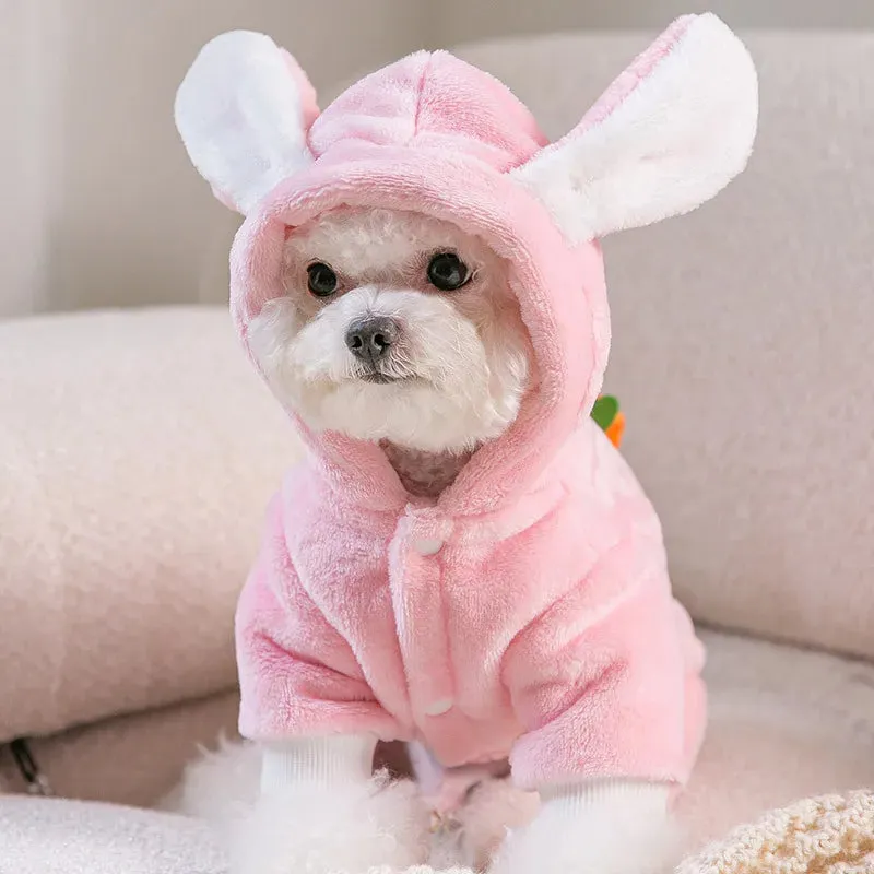 Cozy Dog Blanket and Coat Set