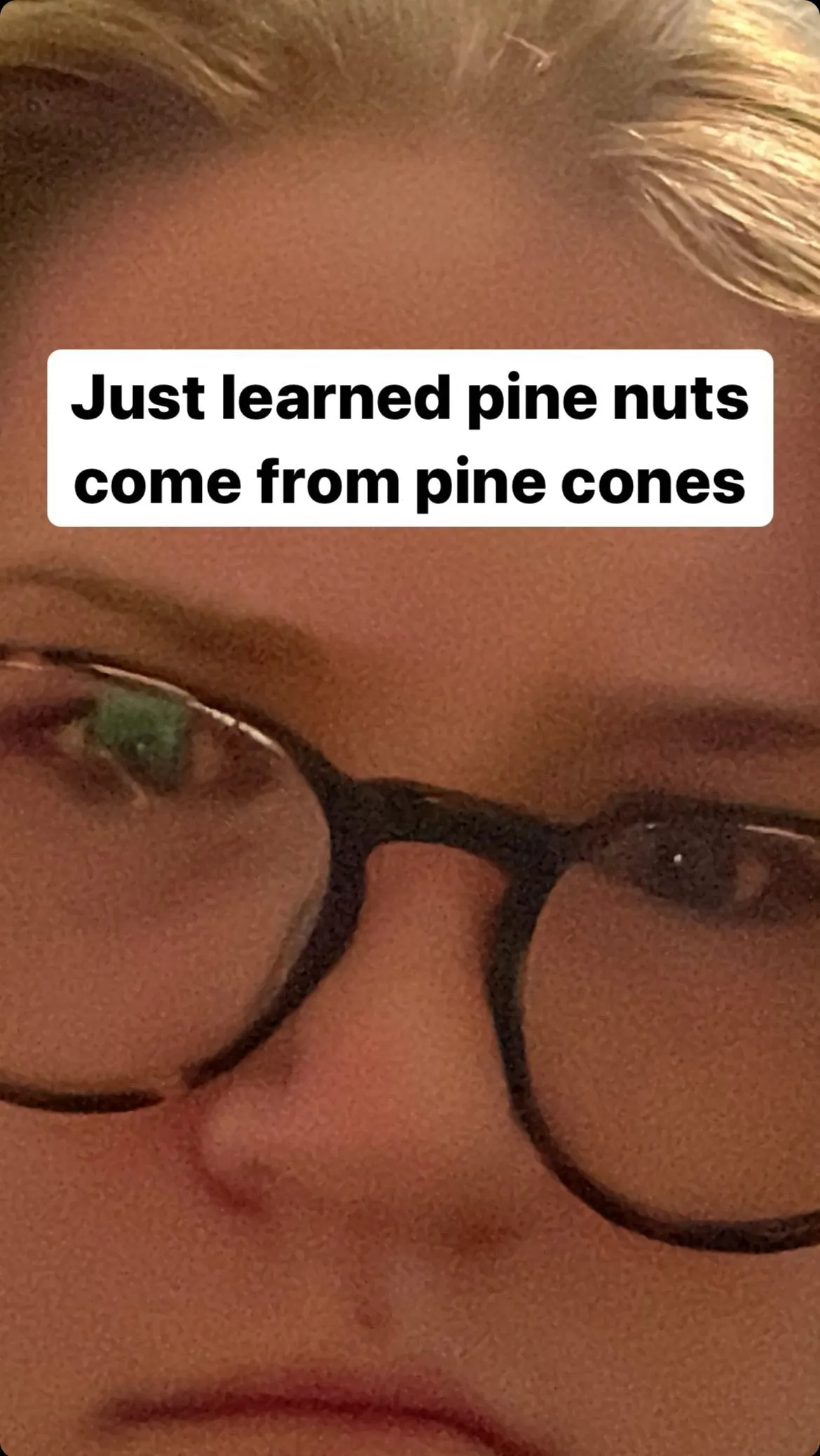 Did You Know? Pine Nuts Come From Pine Cones T-Shirt