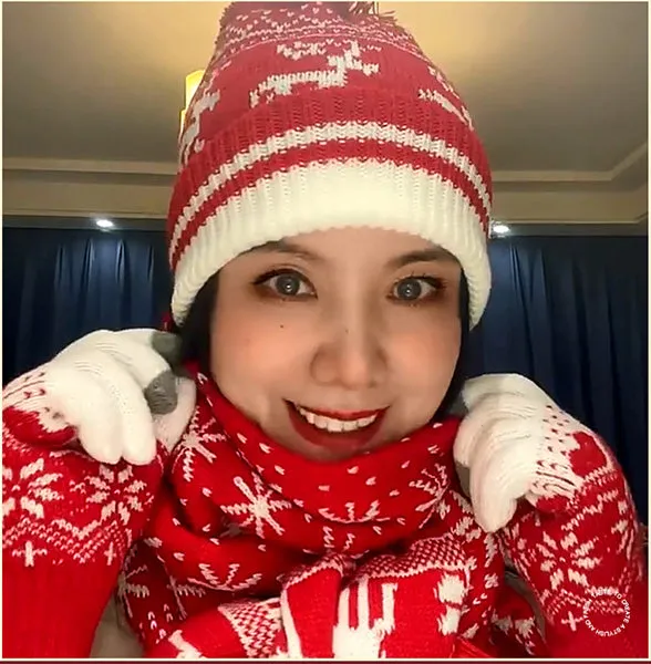 Festive Warmth Christmas Snowflake Elk Scarf, Gloves, and Hat Three-Piece Set