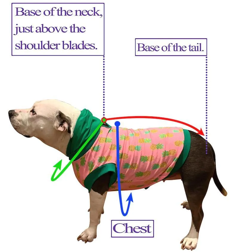 Glow in the Dark Stars Furry Dog Jacket With Sherpa Lining