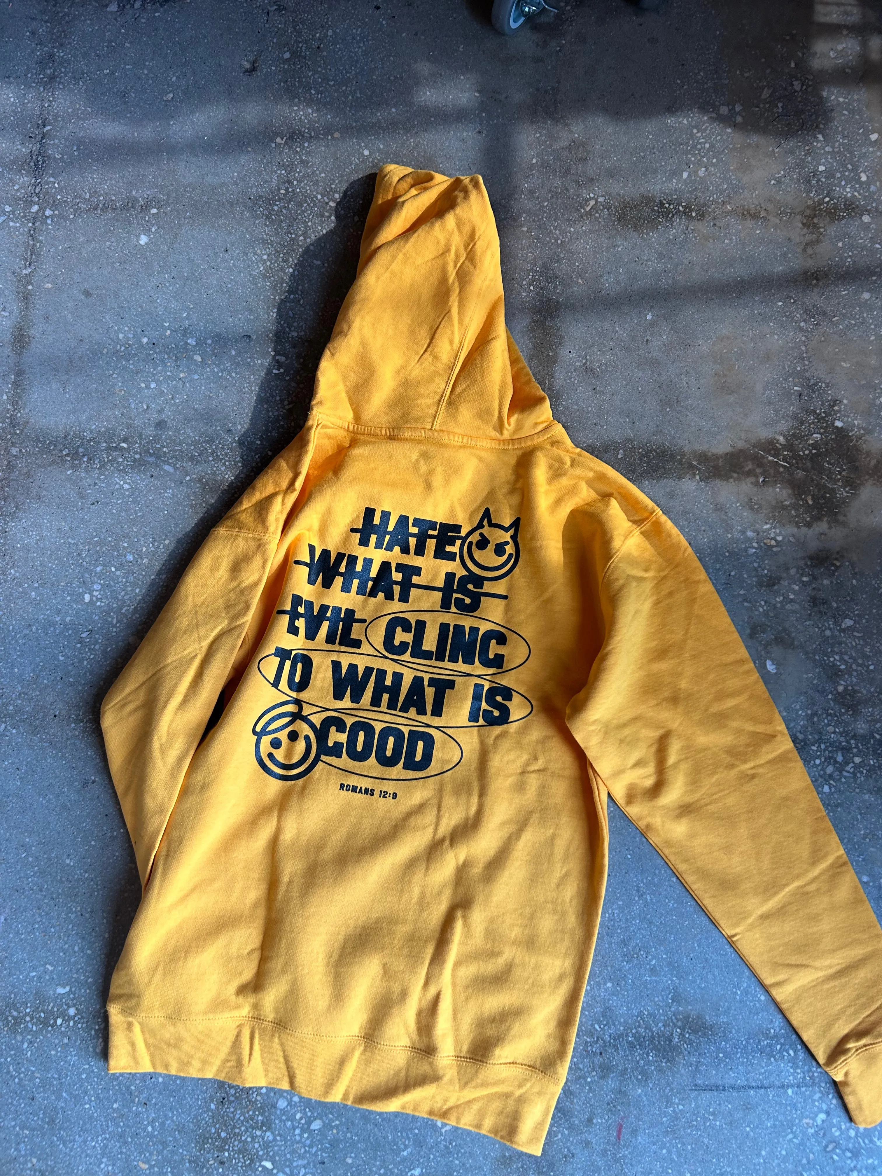 Hate Evil, Cling to Good Adult Box Hoodie