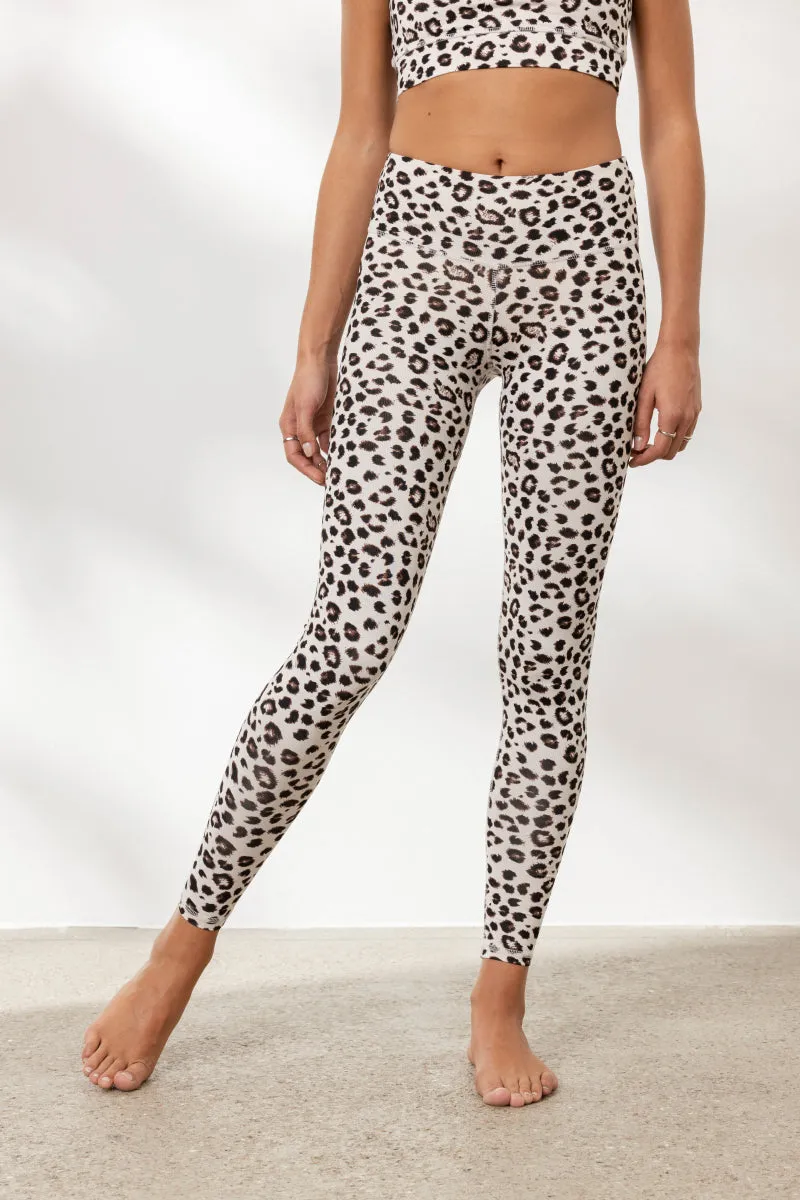 Leggings Leo Clay