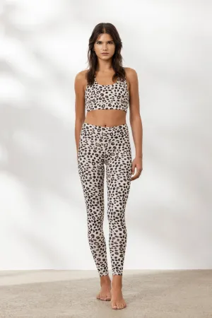 Leggings Leo Clay