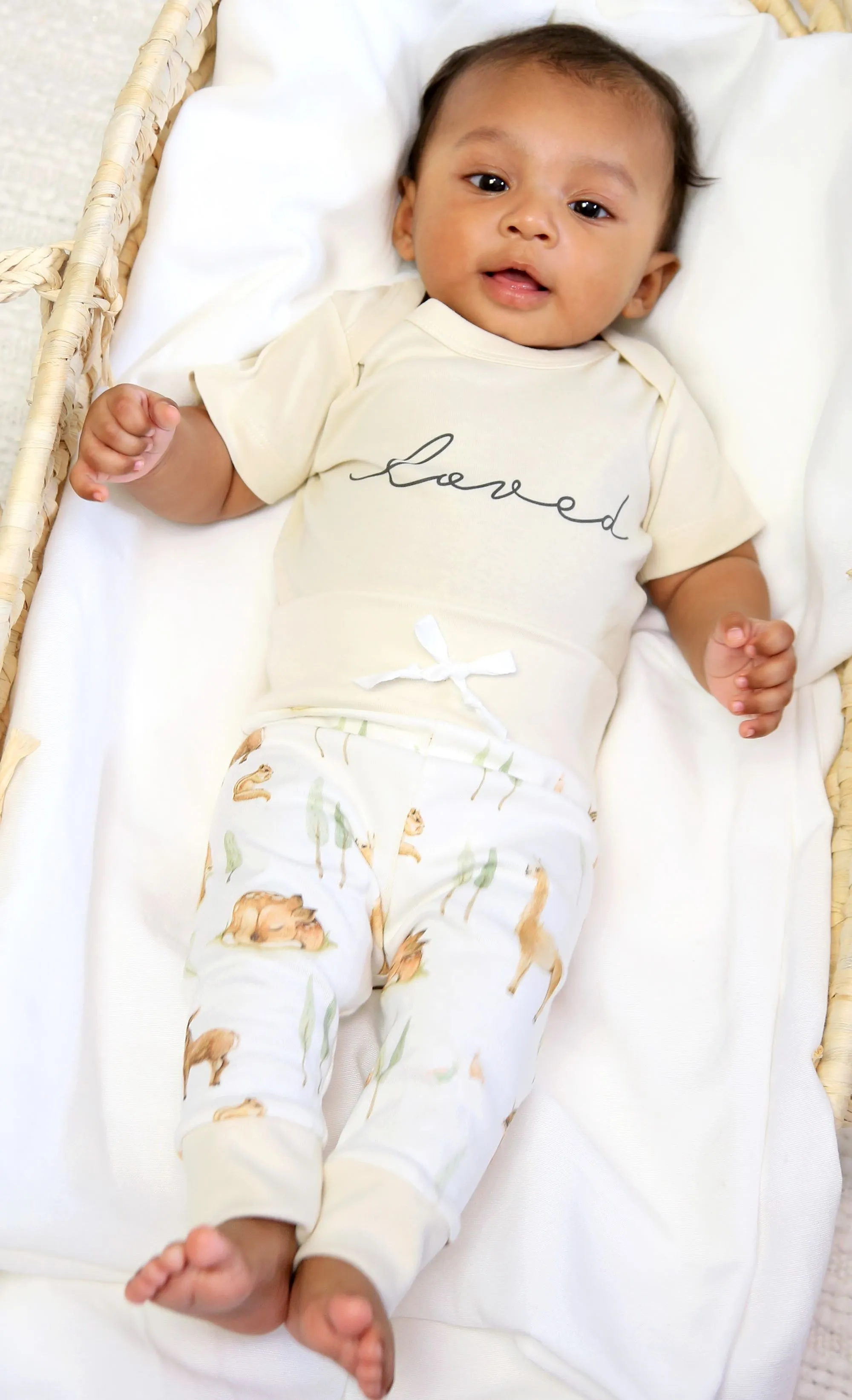 Llama & Friends | Organic Baby Set | Gender Neutral