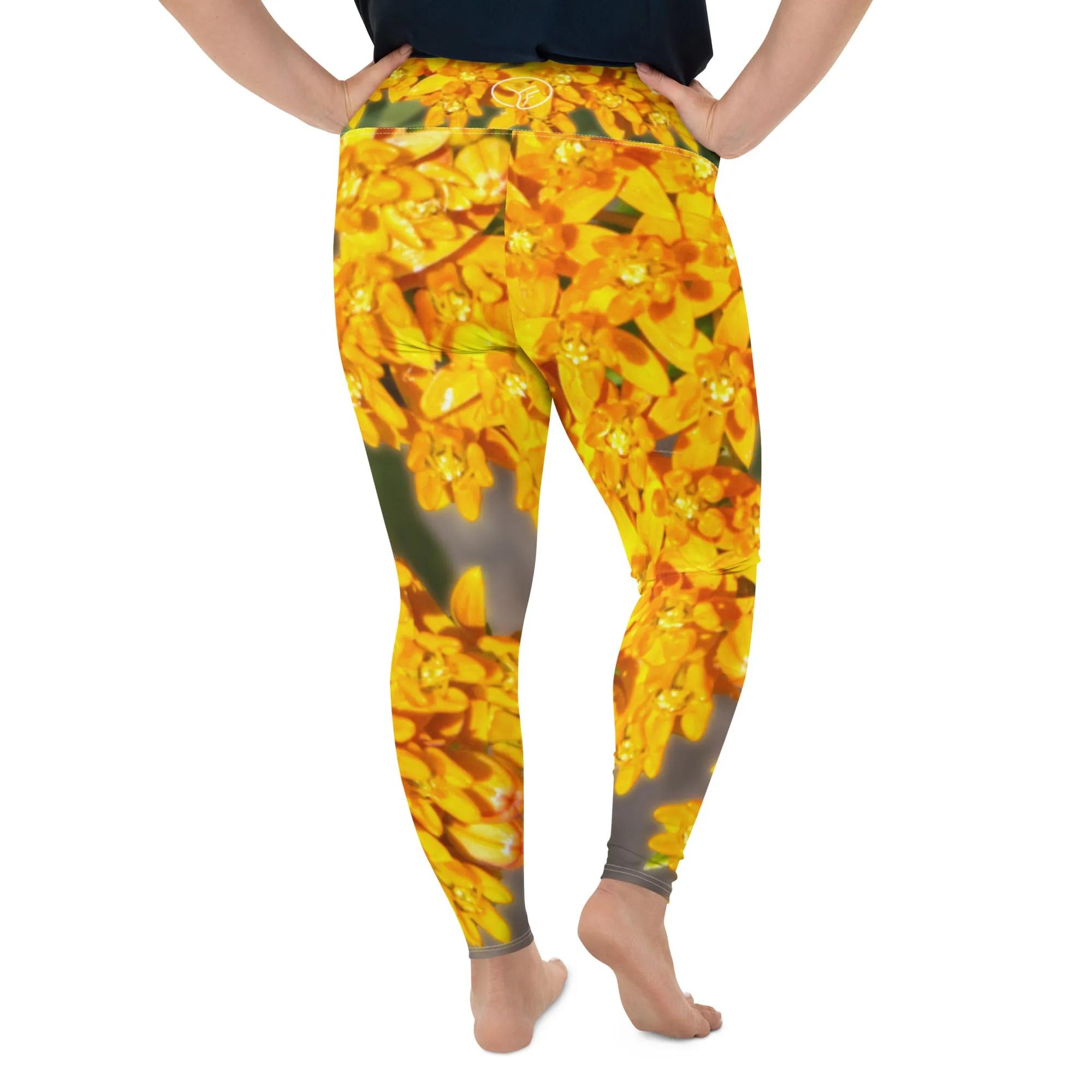 Saffron Stars Plus Size Leggings