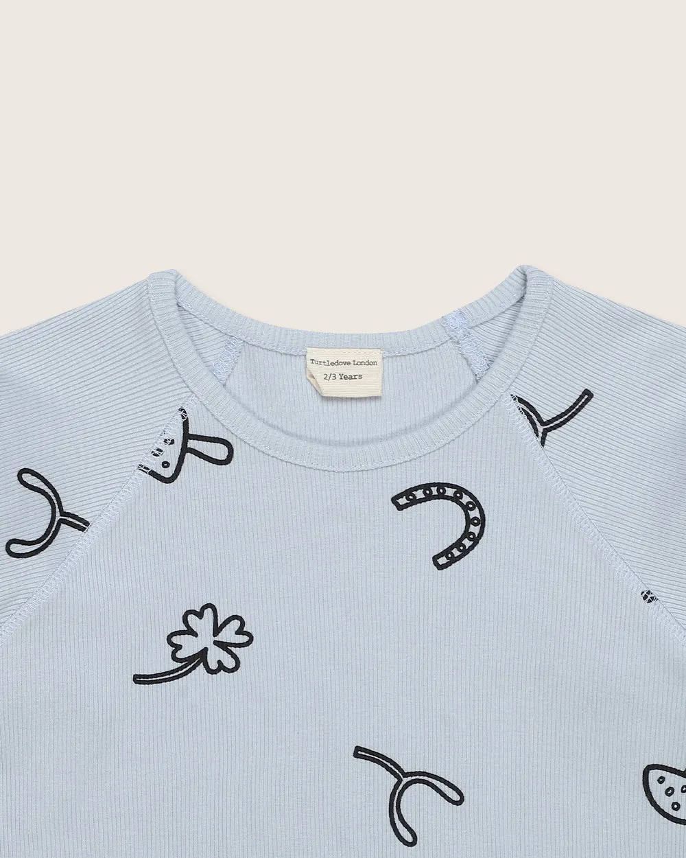 Sky Blue Lucky Print Top