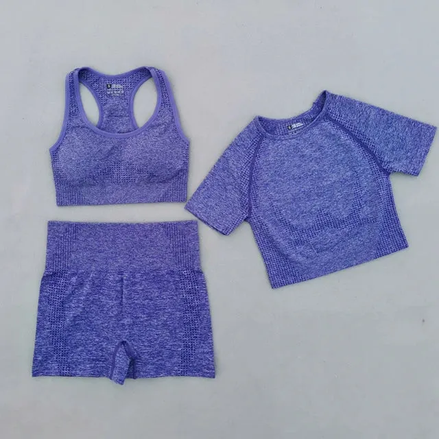 Summer Seamless Yoga Set for Women - Short Sleeve Crop Top, Sport Bra, and High Waist Leggings