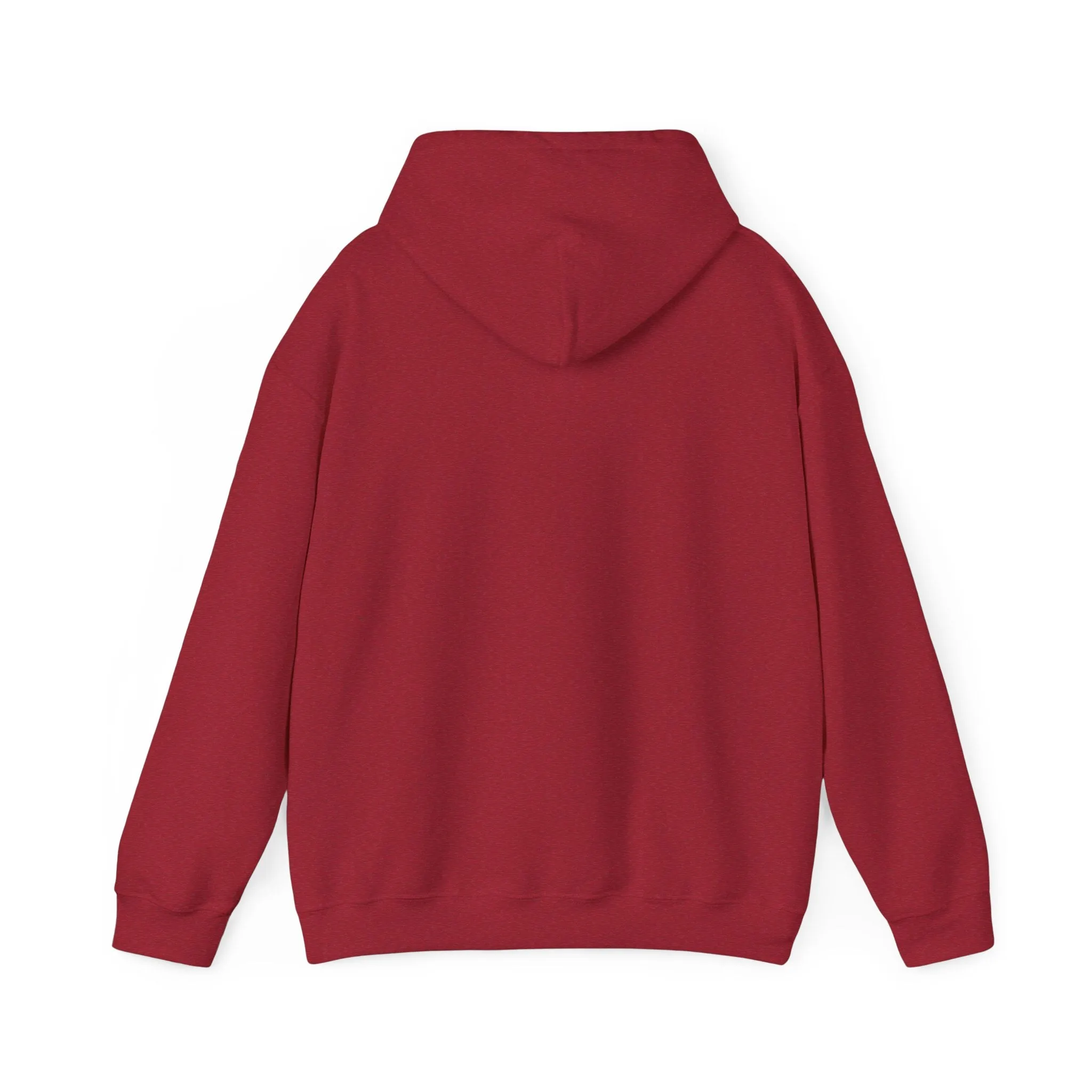 Zion Noiz Skate Style Hoodie
